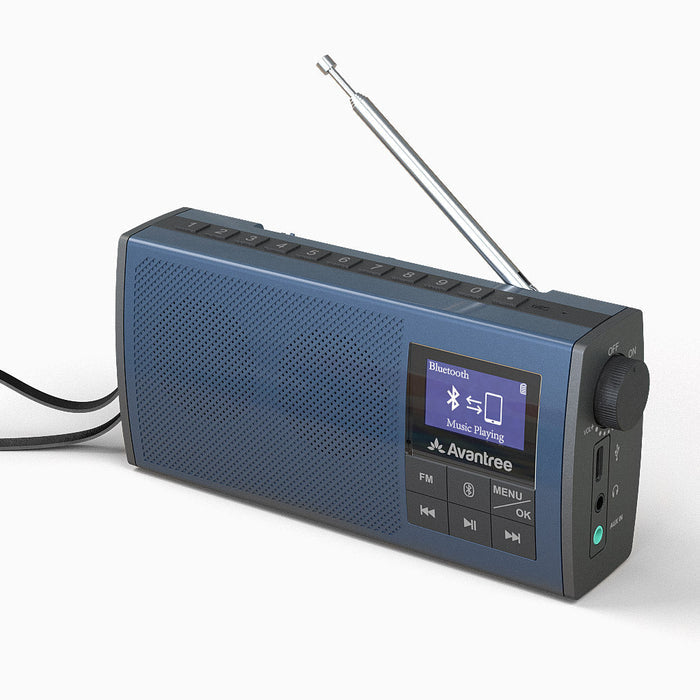 Audikast 4860 Wireless Speakers for TV & FM Radio 2-in-1, for Seniors with Voice Clarity, Low Latency, Long Range, used as speaker and radio.