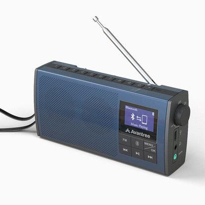 Audikast 4860 Wireless Speakers for TV & FM Radio 2-in-1, for Seniors with Voice Clarity, Low Latency, Long Range, used as speaker and radio.