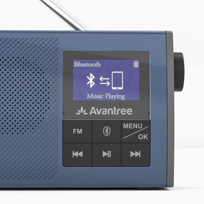 Audikast 4860 Wireless Speakers for TV & FM Radio 2-in-1 for seniors, with voice clarity, low latency, long range, and Bluetooth pairing for phone audio.