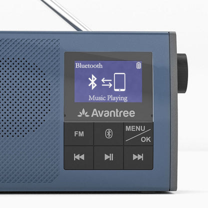 Audikast 4860 Wireless Speakers for TV & FM Radio 2-in-1 for seniors, with voice clarity, low latency, long range, and Bluetooth pairing for phone audio.