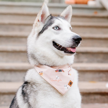 Side view of a husky wearing the Dog Bandana in Gilmore Girls