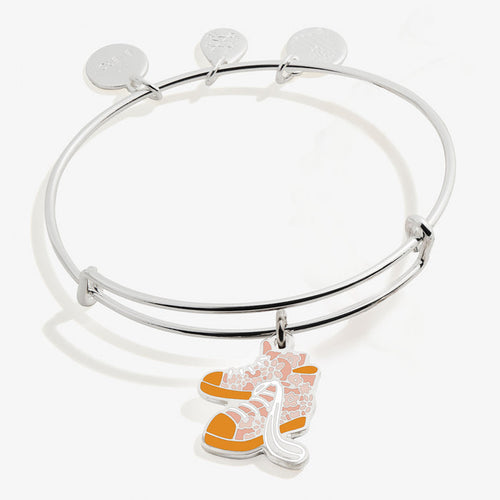 Shiny Silver