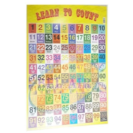 LEARNING CHARTS, EDUCATIONAL CHARTS WITH A VARIETY OF TOPICS AND VIBRANT COLOURS - 80396803438 Pie's Variety Store
