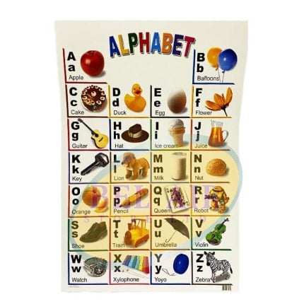 LEARNING CHARTS, EDUCATIONAL CHARTS WITH A VARIETY OF TOPICS AND VIBRANT COLOURS - 80396803438 Pie's Variety Store