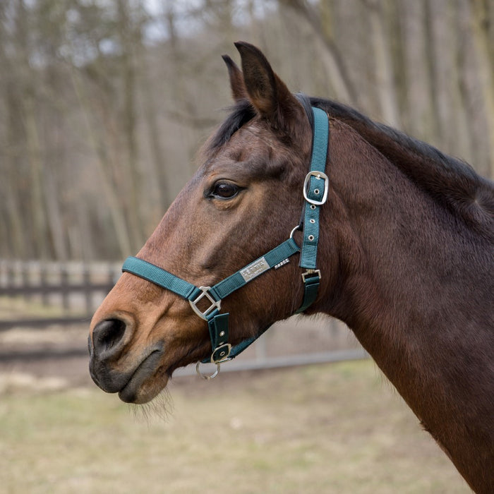 Lettia EquiFine Halter