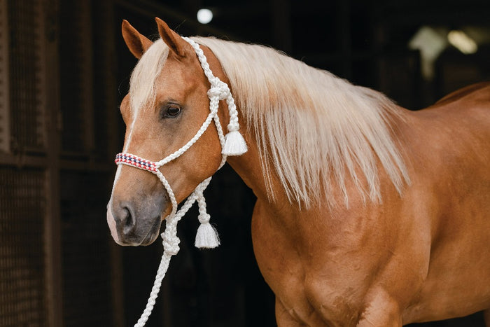 Professionals Choice Cowboy Braided Halter 10' Ld