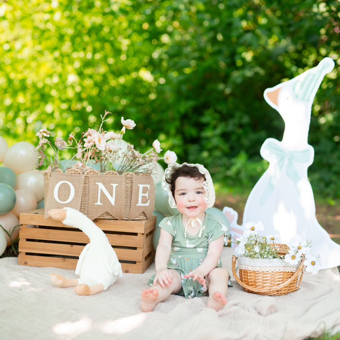 Toddler sitting in front of Silly goose first birthday themed backdrop wearing the Twirl Bodysuit Dress in Silly Goose with a linen bonnet