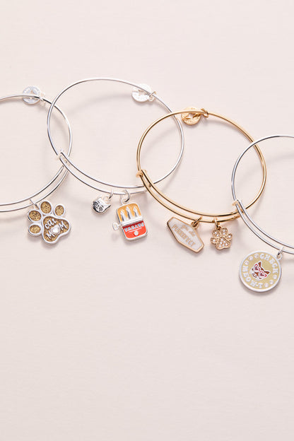 You Are Purrrfect Charm Bangle